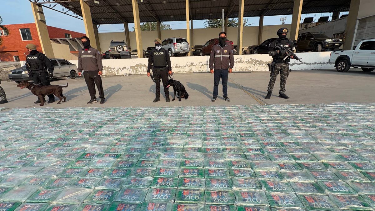 Incautan 21 toneladas de cocaína en Guayaquil: golpe a red criminal transnacional