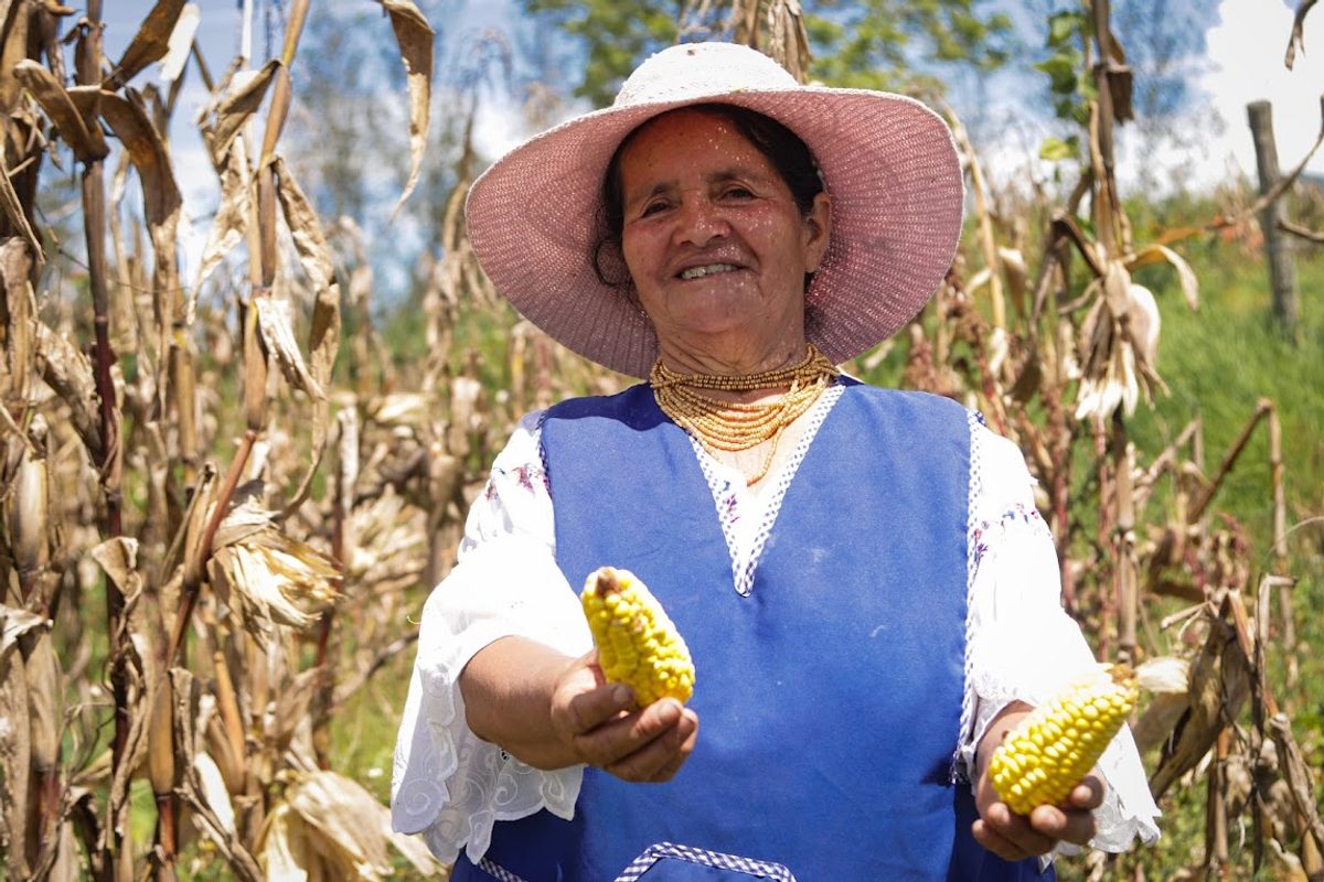 Gobernación del Guayas refuerza controles de precios en mercados