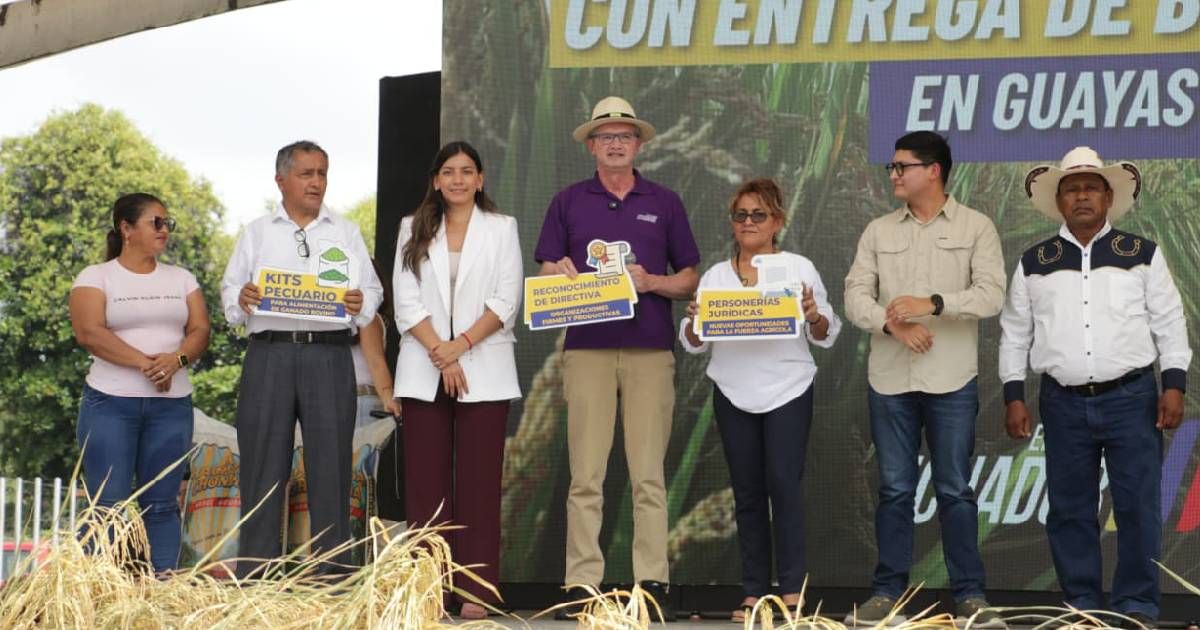 CELEC invierte USD 100 millones para mejorar la luz en Guayas