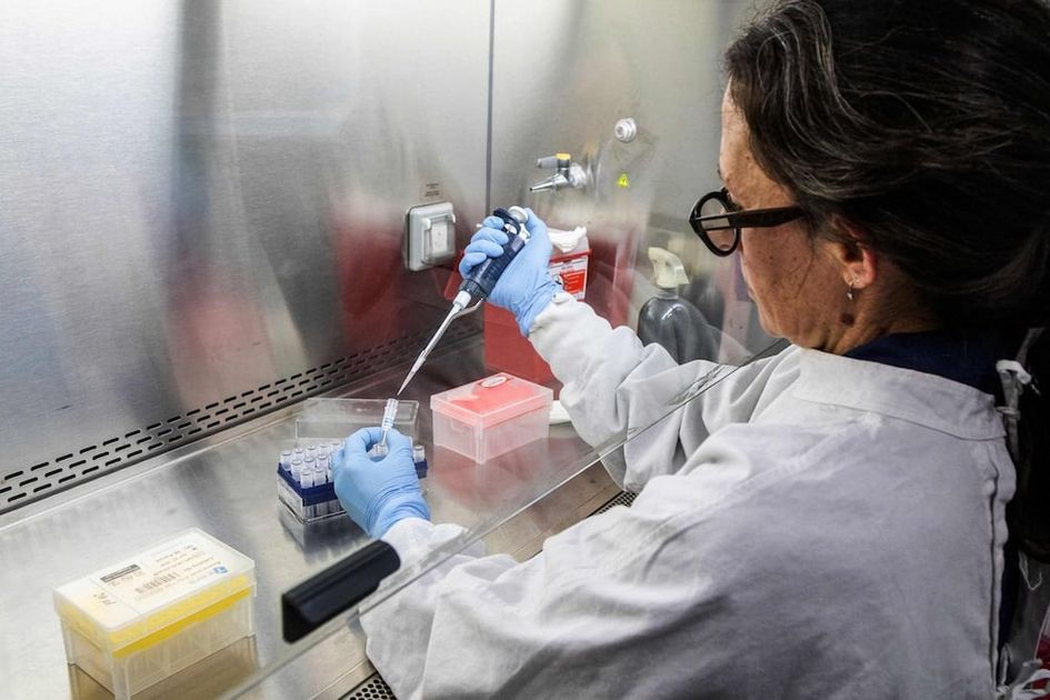 OMS alerta: cáncer de próstata lidera casos en Ecuador