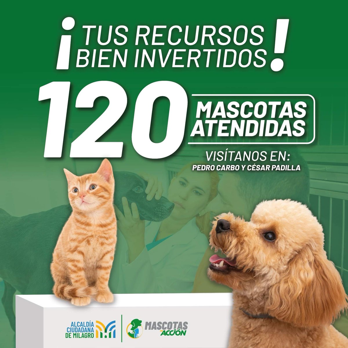 Municipio de Milagro atiende 120 mascotas en su centro veterinario municipal